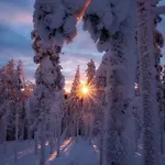 Ilvesrinne - 2 Winter Passes, Sauna, Ev Char, Forest View Рука