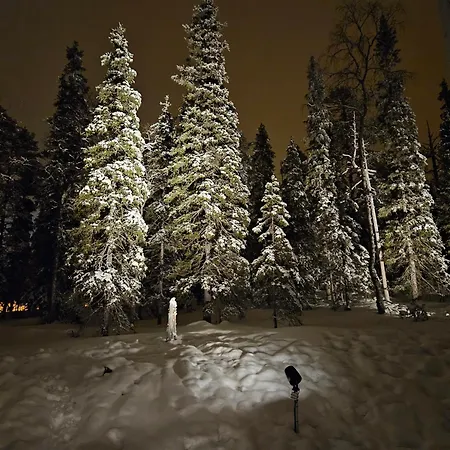 Ilvesrinne - 2 Winter Passes, Sauna, Ev Char, Forest View * Ruka