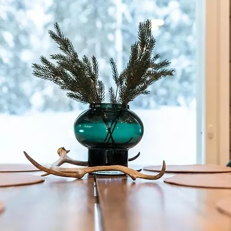 Spacious Ilvesrinne In - 2 Winter Passes, Sauna, Ev Char, Forest Views * Ruka