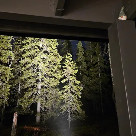 Spacious Ilvesrinne In - 2 Winter Passes, Sauna, Ev Char, Forest Views