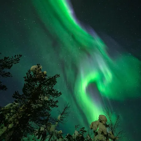 Ilvesrinne - 2 Winter Passes, Sauna, Ev Char, Forest View Ruka