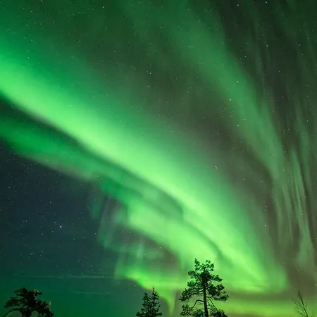 Villa Ilvesrinne - 2 Winter Passes, Sauna, Ev Char, Forest View Ruka