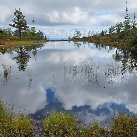 Villa Spacious Ilvesrinne In - 2 Winter Passes, Sauna, Ev Char, Forest Views Ruka