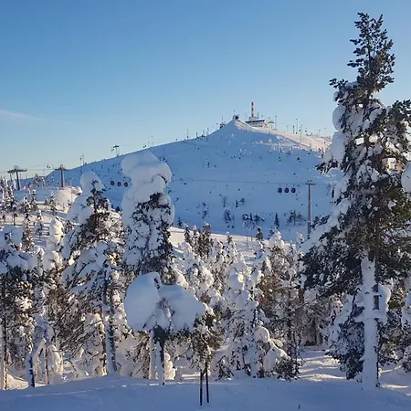 Villa Spacious Ilvesrinne In - 2 Winter Passes, Sauna, Ev Char, Forest Views
