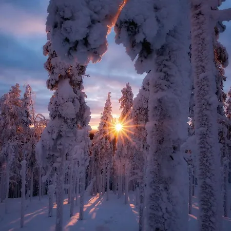 Ilvesrinne - 2 Winter Passes, Sauna, Ev Char, Forest View Ruka