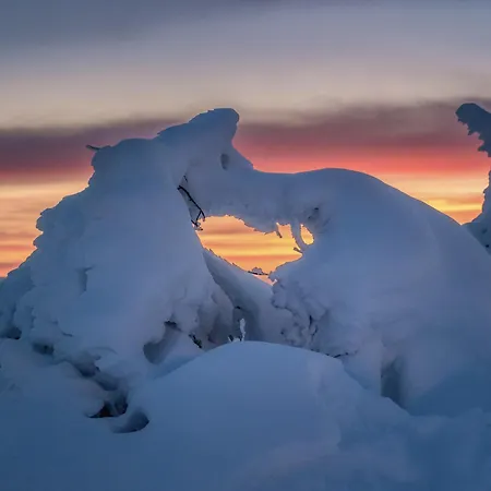 Ilvesrinne - 2 Winter Passes, Sauna, Ev Char, Forest View